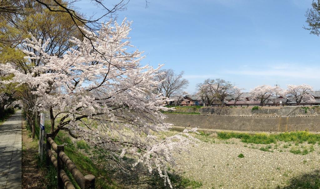 Kiyotaki Ryokan Хиконе Экстерьер фото
